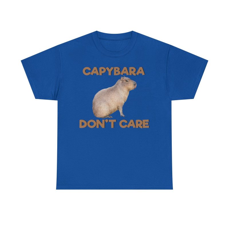 Capybara Don’t Care T-Shirt | Funny Stoic Capybara Graphic Tee | Sarcastic Chill Animal Meme Unisex Shirt