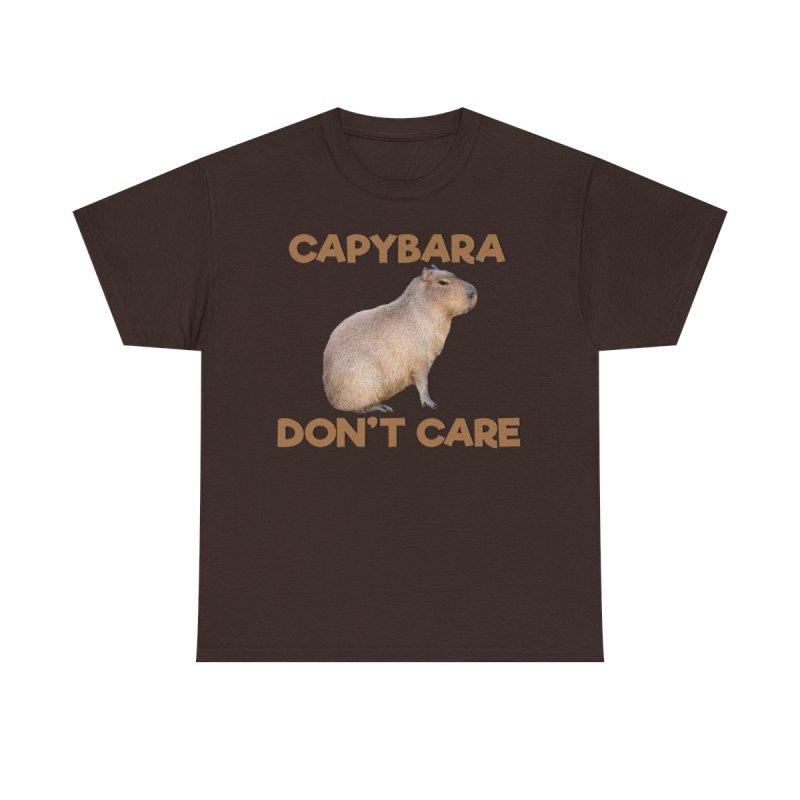 Capybara Don’t Care T-Shirt | Funny Stoic Capybara Graphic Tee | Sarcastic Chill Animal Meme Unisex Shirt