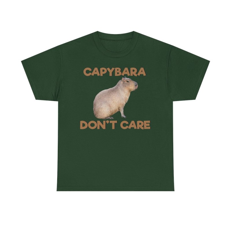 Capybara Don’t Care T-Shirt | Funny Stoic Capybara Graphic Tee | Sarcastic Chill Animal Meme Unisex Shirt