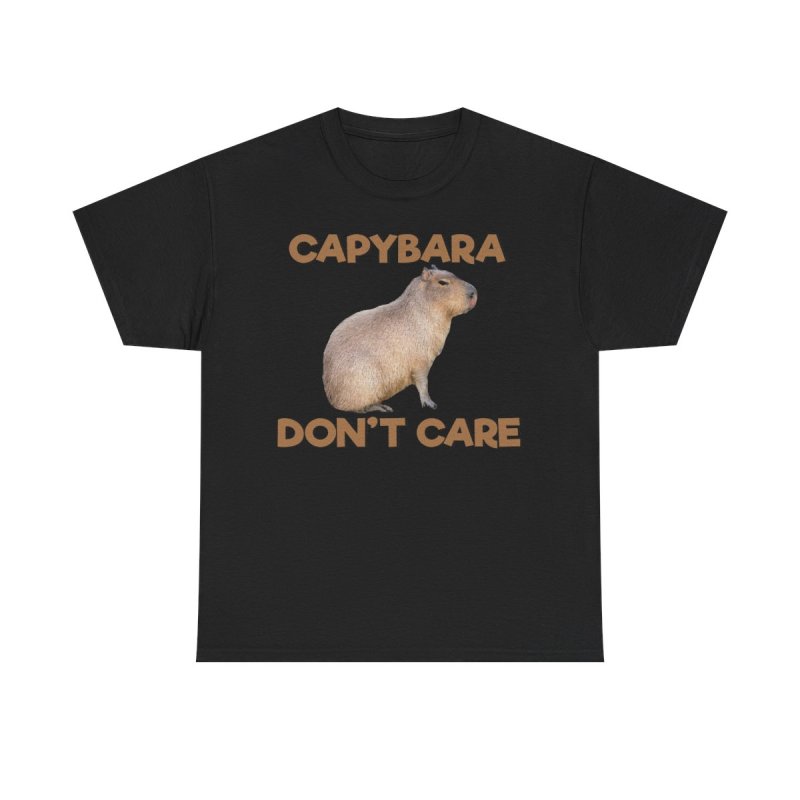 Capybara Don’t Care T-Shirt | Funny Stoic Capybara Graphic Tee | Sarcastic Chill Animal Meme Unisex Shirt