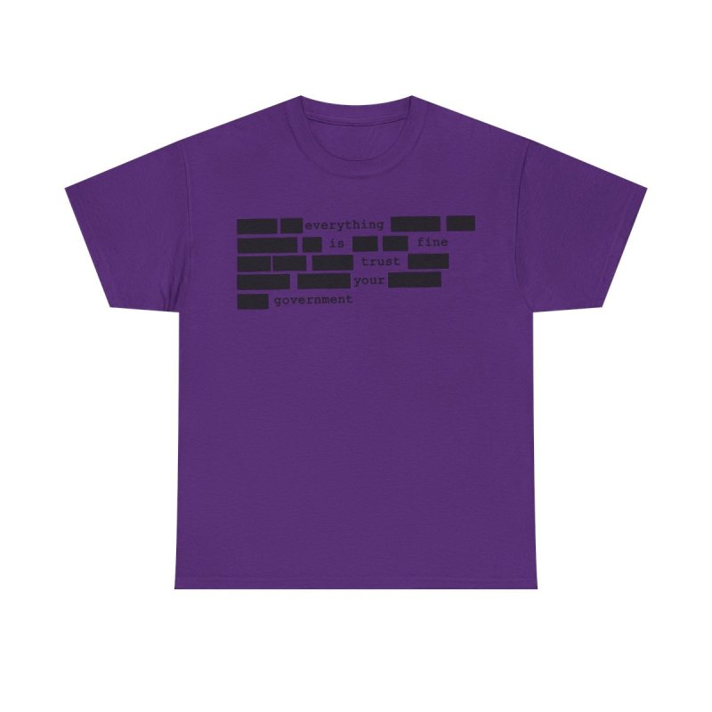 Redacted Everything Is Fine T-Shirt | Sarcastic Government Trust Graphic Tee