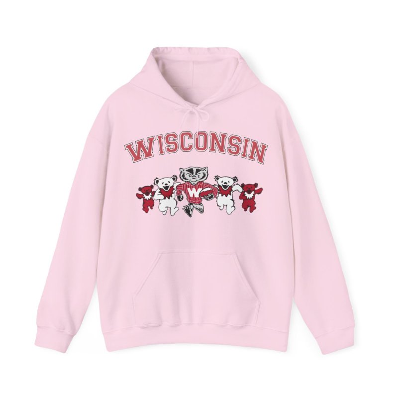 University of Wisconsin-Madison Hoodie | UW Madison Bucky Badger & Bears Sweatshirt | Vintage Wisconsin Varsity Pullover