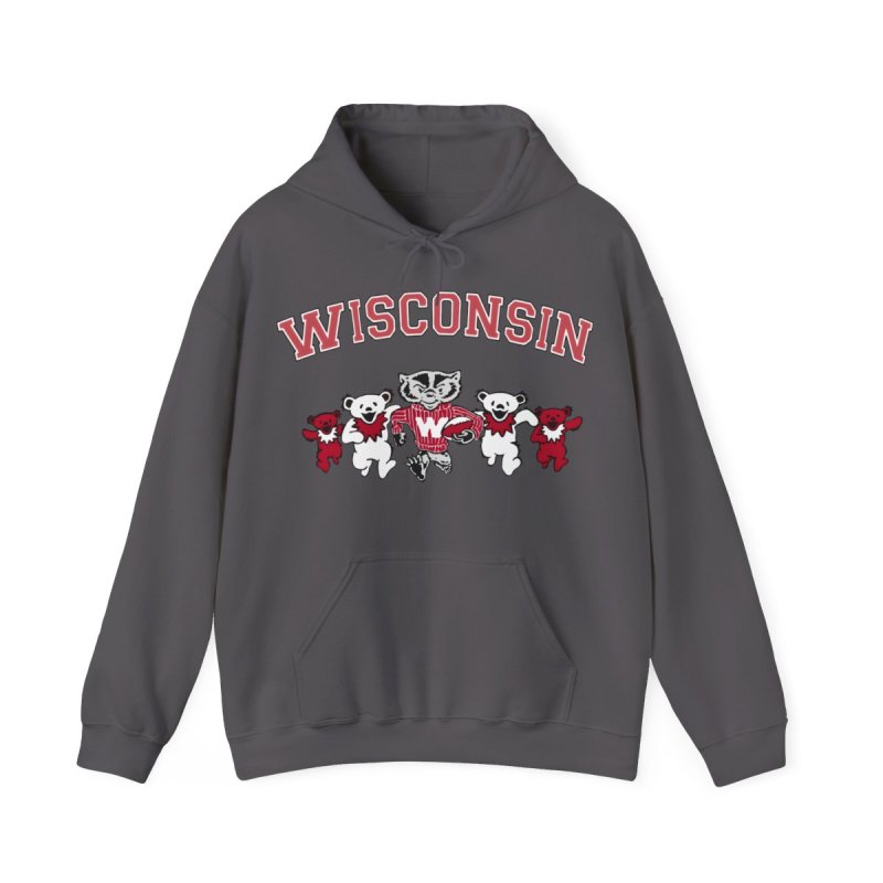 University of Wisconsin-Madison Hoodie | UW Madison Bucky Badger & Bears Sweatshirt | Vintage Wisconsin Varsity Pullover