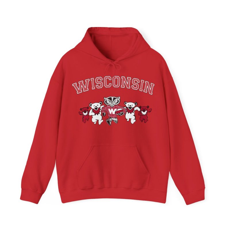University of Wisconsin-Madison Hoodie | UW Madison Bucky Badger & Bears Sweatshirt | Vintage Wisconsin Varsity Pullover